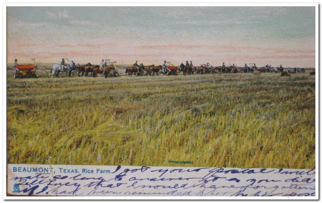 Rice Farm, Beaumont, TX